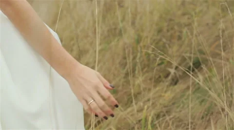 Bride walking through and touching tall grass with her hands. Close-up, flying c Stock Footage 46003249