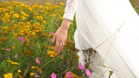 Bride walking through flower field Stock Footage 157499047