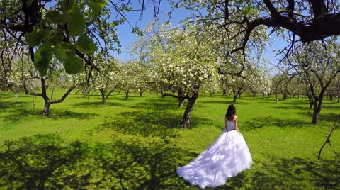 Bride Walks In The Garden 5 Stock Footage 63264279
