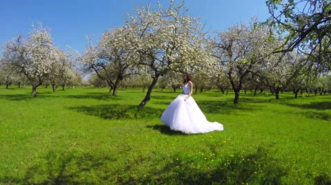 Bride Walks In The Garden 8 Stock Footage 63264850