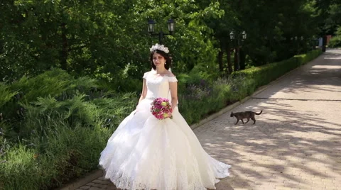 The bride walks in the park Stock Footage 68904980