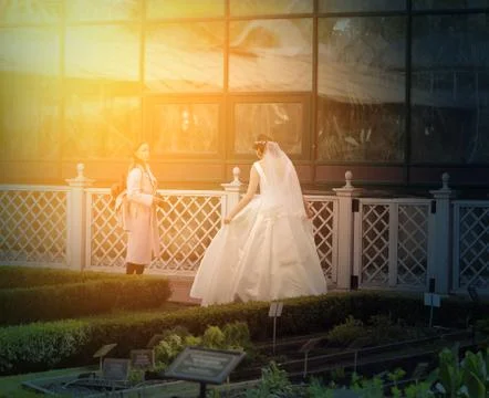 Bride at the wedding Stock Photos