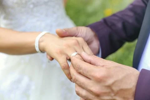 Bride with wedding ring holding hand of groom Stock Photos