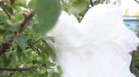 Bride Weighs on the Tree Stock Footage