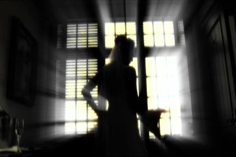 Bride at window silouette Stock Footage 753672