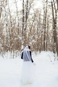 Bride winter in the forest with his back to the viewer Stock Photos