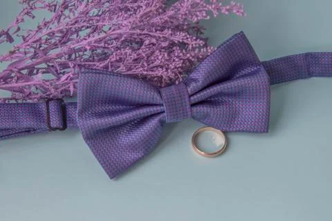 Bridegroom's wedding set Stock Photos