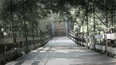 Briderunface HD Stock Footage 938412