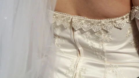 Bride's back and Veil Stock Footage 87537097