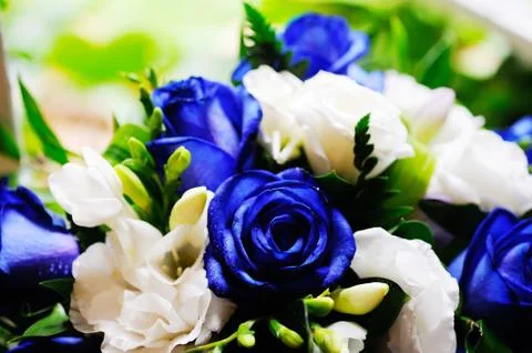 Brides blue roses Stock Photos