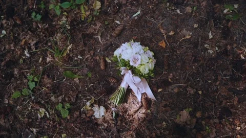 The bride's bouquet on the background of cones Video stock 200943567