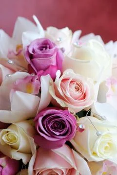 Brides bouquet close-up Stock Photos