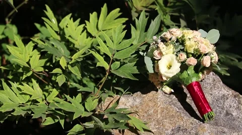 The bride's bouquet Stock Footage 56819896