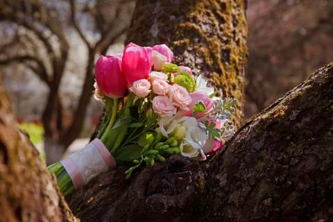 Bride's bouquet Stock Photos