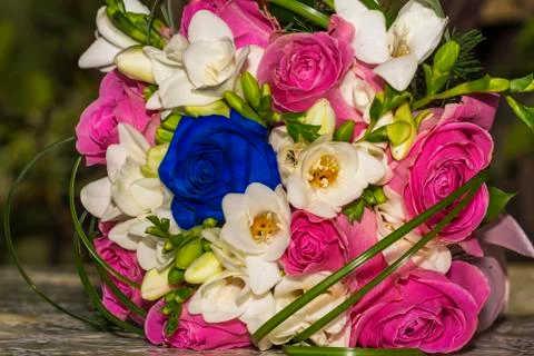 Bride's bouquet Stock Photos