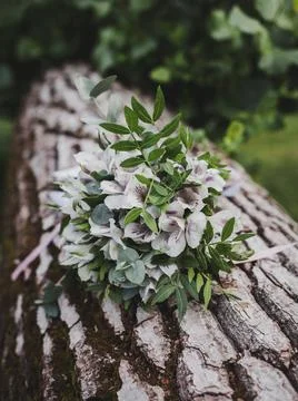 Bride's bouquet Stock Photos