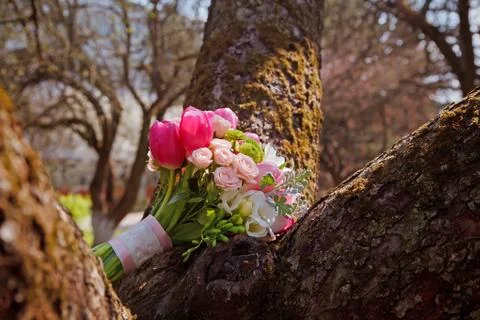 Bride's bouquet on tree Foto stock