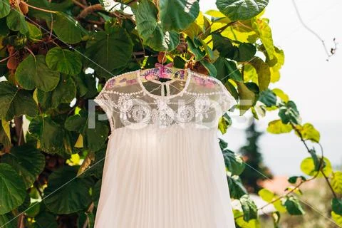 The Bride's Dress On A Hanger In The Green