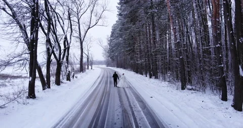 Brides go on the road through the winter forest Video stock 150356176