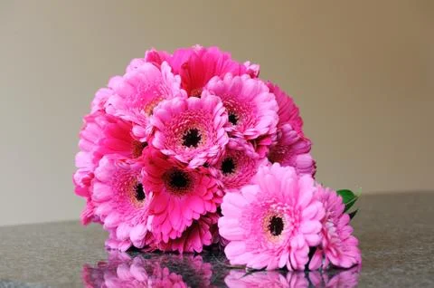 Brides pink flowers Stock Photos