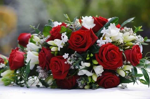 Brides red roses Stock Photos