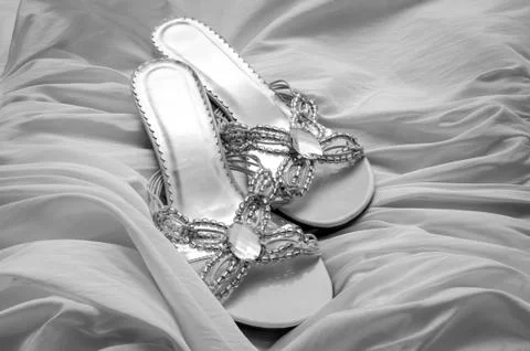 Bride's Shoes Stock Photos