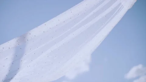The bride's veil develops against the sky Stock Footage 207166288