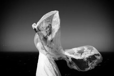 Bride's veil Stock Photos