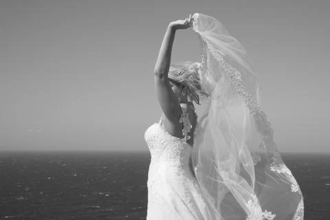 Bride's veil Stock Photos