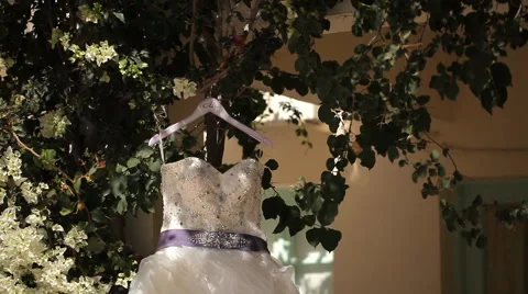 Bride's wedding dress Stock Footage 56249449