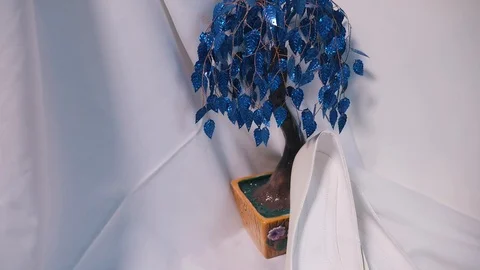 Bride's wedding shoes and decorative flower Stock Footage 108635547