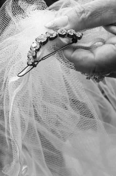 Bride's Wedding Veil Stock Photos