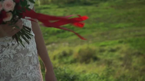 The bride's white dress Stock Footage 163567258