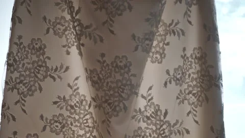 The bride's white dress Stock Footage 163567518