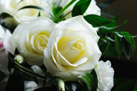 Brides white roses Stock Photos