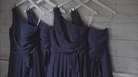Bridesmaid Dresses Stock Footage 262869491