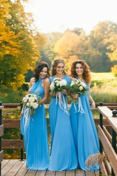 Bridesmaids in park Fotos Stock