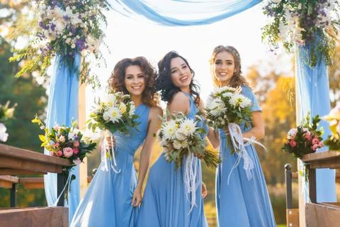 Bridesmaids in park Fotos Stock
