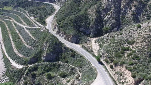 Bridge 03 - Drone 4K 스톡 동영상 219388432