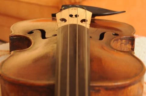 Bridge 4 strings...&amp;quot;In focus&amp;quot; Stock Photos