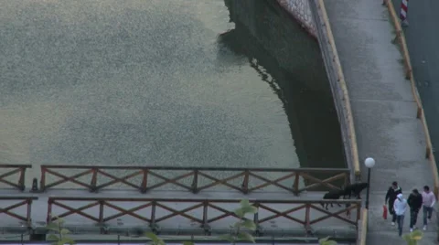 Bridge. 5 Vidéo 8661689