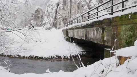 Bridge above the creek Stock Footage 231262482