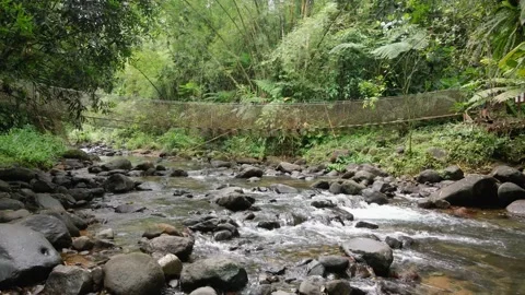 Bridge above river Stock Footage 205292012