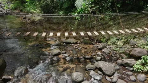 Bridge above river Stock Footage 205299800