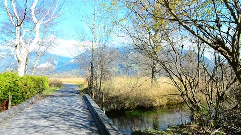 A bridge across the river Stock Footage 82460244