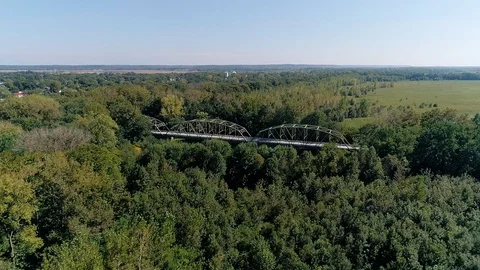 Bridge amongst the Trees Stock Footage 97044873