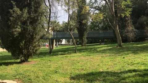 Bridge and a Building in a City Park Landscape Stock-Footage 89943490