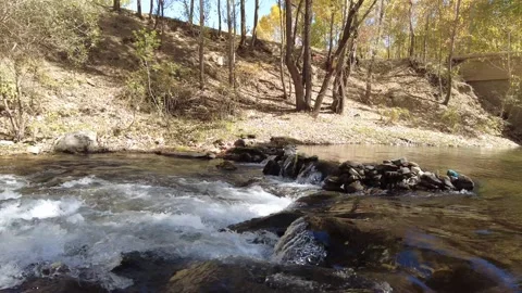 Bridge and clear stream and slender trees Stock Footage 162213206