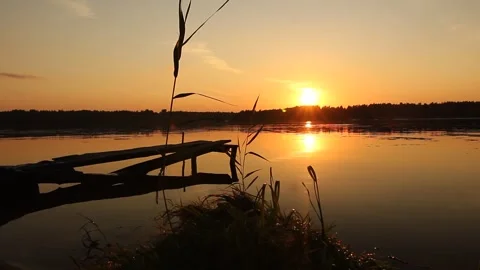 Bridge and grass on the river at sunset. Stock Footage 155243464