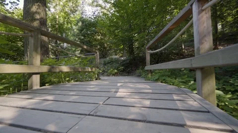 Bridge and path made of wood in a forest Stock Footage 94106067